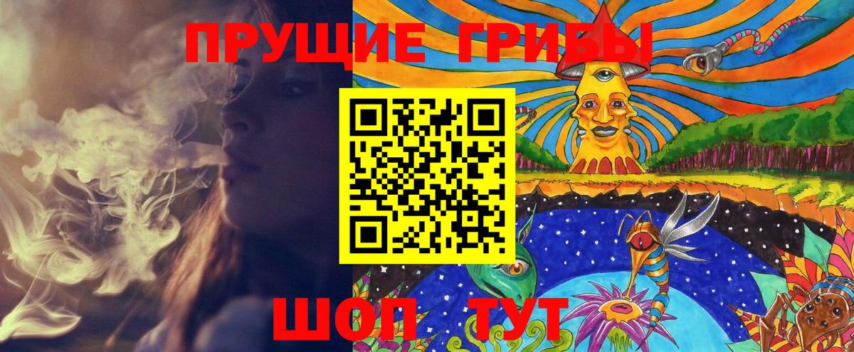 Псилоцибиновые грибы прущие грибы Новоалександровск