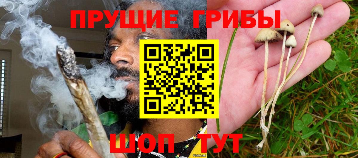 Галлюциногенные грибы мухоморы  Вход с VPN  Галлюциногенные грибы мицелий  хочу   Новоалександровск 